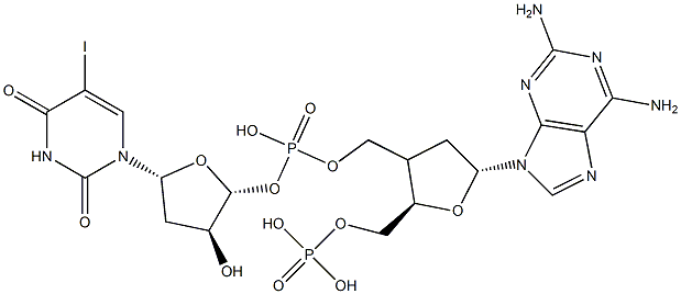 poly(2-aminodeoxyadenylate-5-iododeoxyuridylate) 结构式