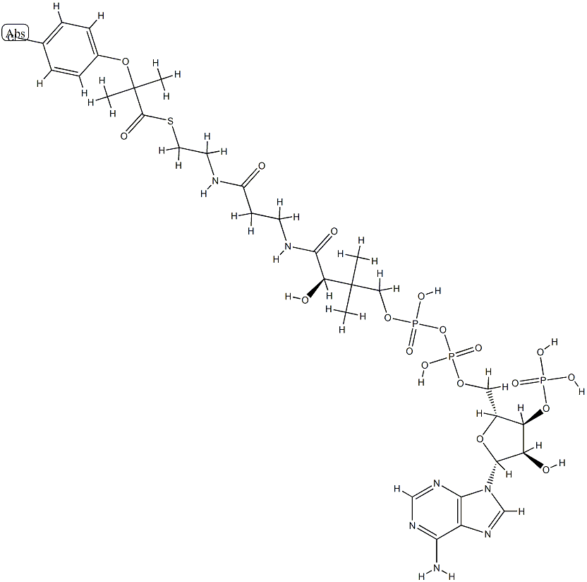 clofibric acid-coenzyme A 结构式