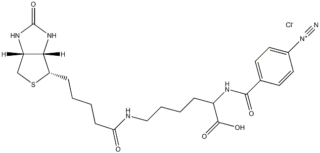 4-diazobenzoyl biocytin 结构式