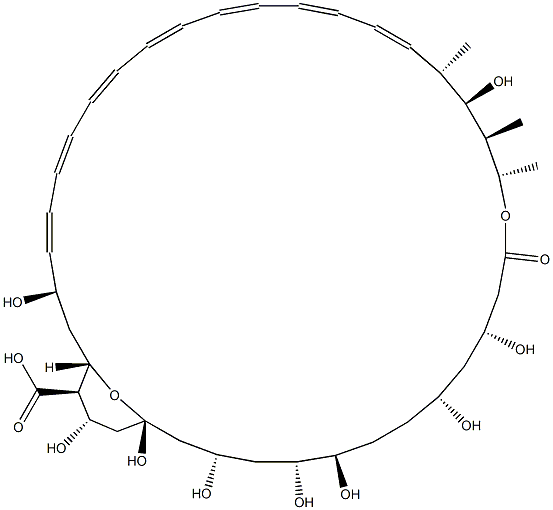 Amphoteronolide B 结构式