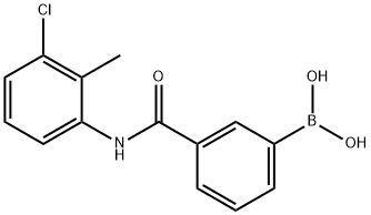 (3-((3-Chloro-2-methylphenyl)carbamoyl)-phenyl)boronic acid 结构式