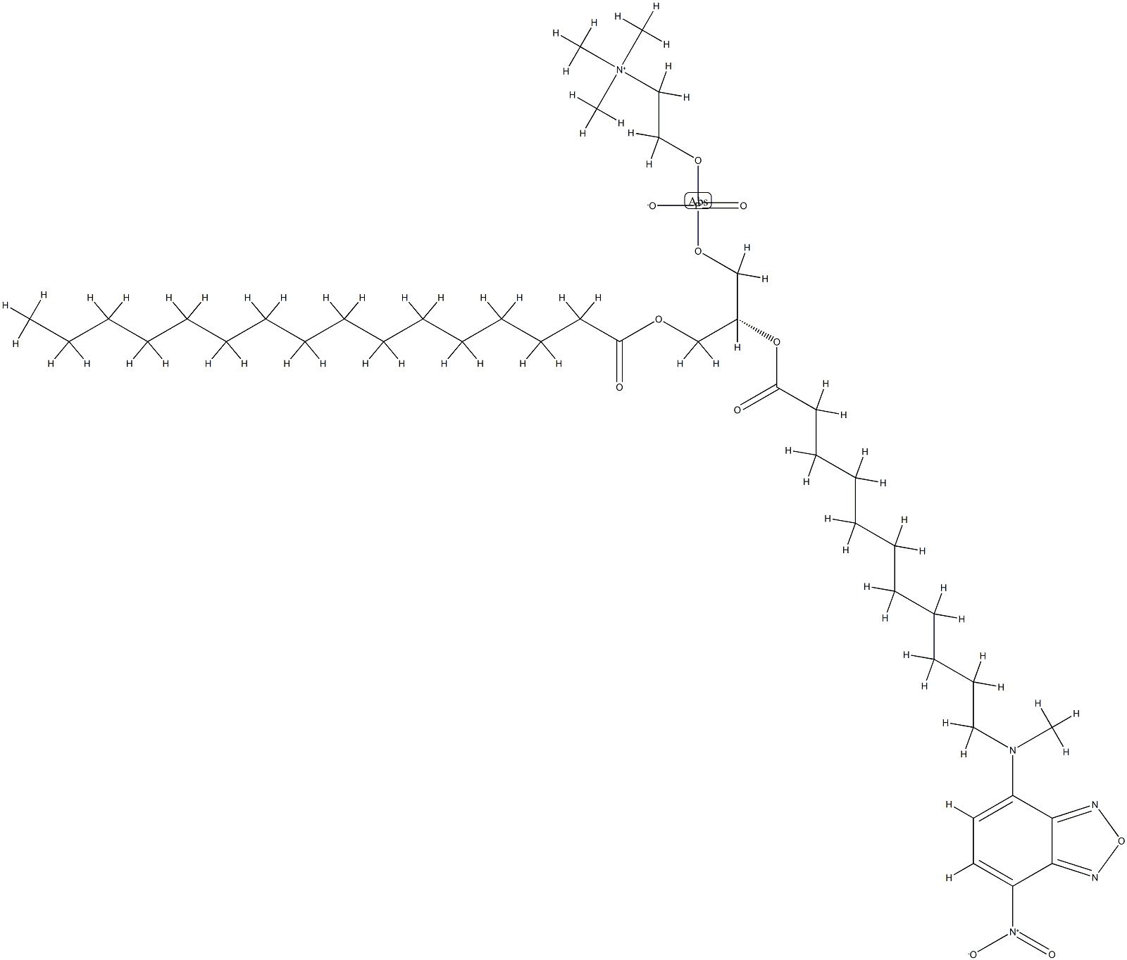 1-palmitoyl-2-(12-((7-nitro-2,1,3-benzoxadiazol-4-yl)amino)dodecanoyl)phosphatidylcholine 结构式