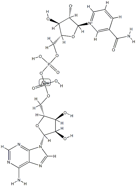 nicotinamide arabinoside adenine dinucleotide 结构式