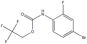 2,2,2-三氟乙基N-(4-溴-2-氟苯基)氨基甲酸酯 结构式