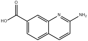 2-AMinoquinoline-7-carboxylic acid 结构式
