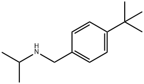 [(4-tert-butylphenyl)methyl](propan-2-yl)amine 结构式