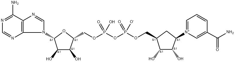 carbanicotinamide adenine dinucleotide 结构式