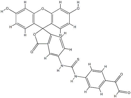 fluorescein isothiocyanate-phenylglyoxal 结构式