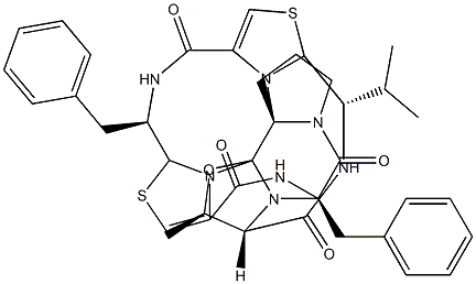 (7R,14S)-14-Demethyl-7-de(1-methylpropyl)-14-phenylmethyl-7-(1-methylethyl)ulicyclamide 结构式