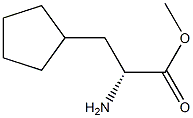 R-环戊基丙氨酸甲酯 结构式