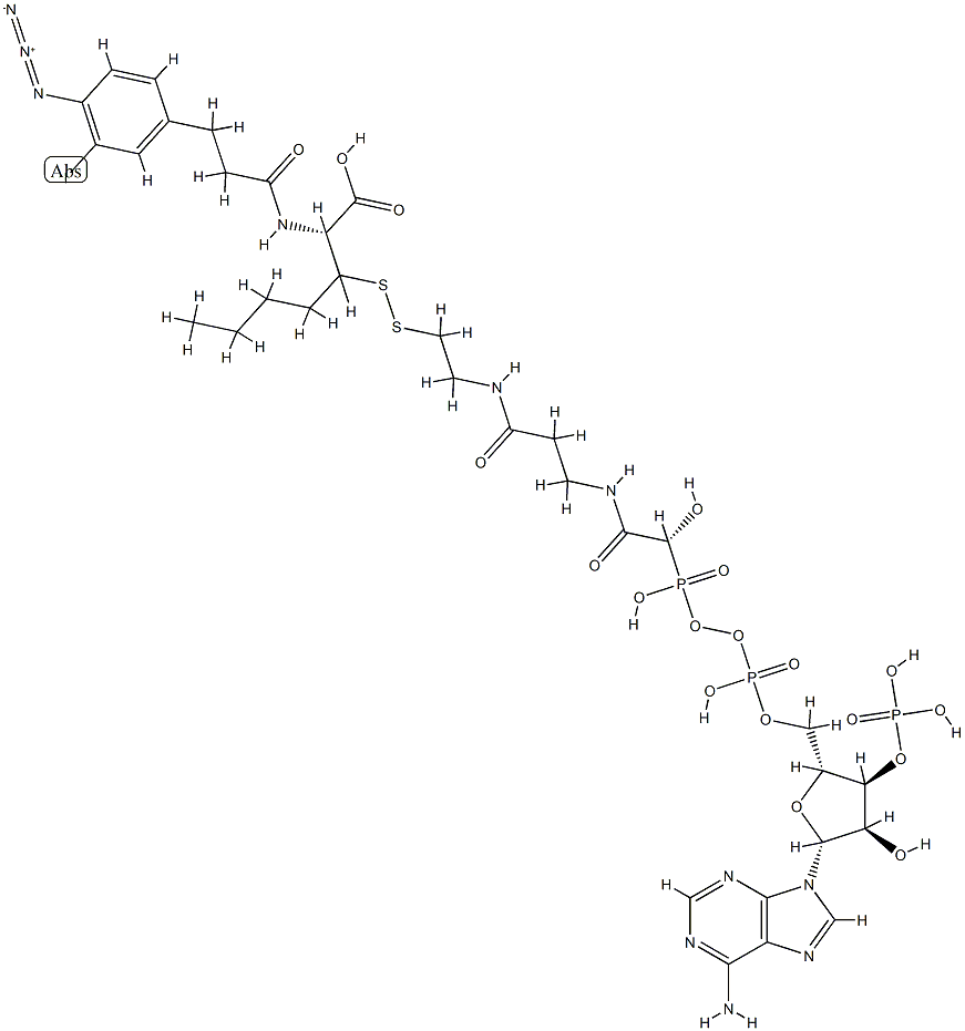 N-(3-iodo-4-azidophenylpropionamido)cysteinyl-5-(2'-thiopyridyl)cysteine-coenzyme A 结构式