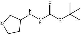 tert-butyl 2-(tetrahydrofuran-3-yl)hydrazinecarboxylate 结构式