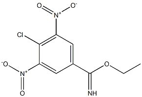 4-chloro-3,5-dinitro-benzimidic acid ethyl ester 结构式