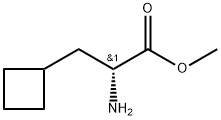 Cyclobutanepropanoic acid, α-amino-, methyl ester, (αR)- 结构式