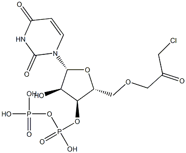 uridine 5'-diphosphate chloroacetol 结构式
