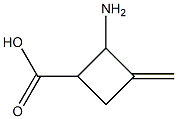 2-Amino-3-methylene-cyclobutanecarboxylic acid 结构式