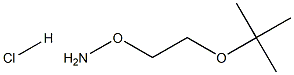 O-(2-叔丁氧基-乙基)-羟胺盐酸盐 结构式
