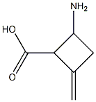 2-Amino-4-methylene-cyclobutanecarboxylic acid 结构式