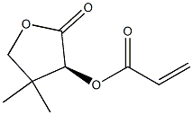 2-Propenoic acid, (3S)-tetrahydro-4,4-dimethyl-2-oxo-3-furanyl ester 结构式