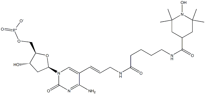 5-(3-(5-(2,2,6,6-tetramethyl-1-oxypiperidine-4-carboxamido)pentanamido)prop-1-enyl)-2'-deoxycytidine 5'-triphosphate 结构式