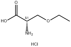 (2S)-2-氨基-3-乙氧基丙酸盐酸盐 结构式