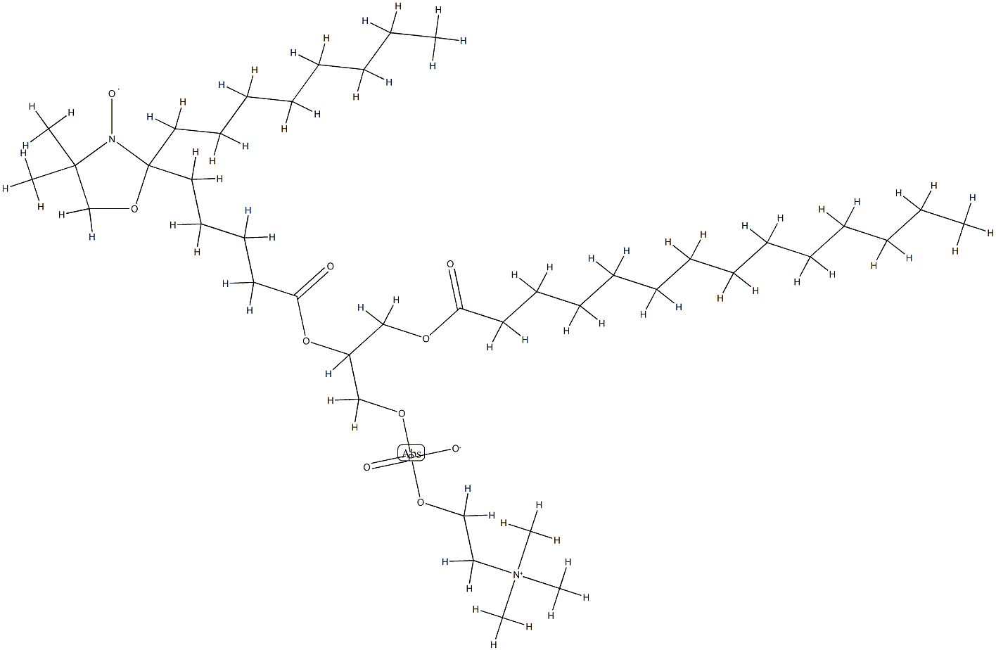 1-myristoyl-2-(6-(4,4-dimethyloxazolidine-N-oxyl)myristoyl)-3-phosphatidylcholine 结构式