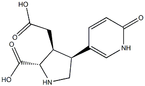 (2S)-2α-Carboxy-4β-[(2-oxo-1,2-dihydropyridin)-5-yl]pyrrolidine-3β-acetic acid 结构式