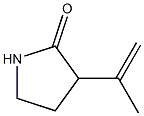 2-Pyrrolidinone,3-(1-methylethenyl)-(9CI) 结构式