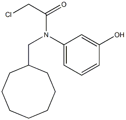 2-chloro-N-(cyclooctylmethyl)-N-(3-hydroxyphenyl)acetamide 结构式