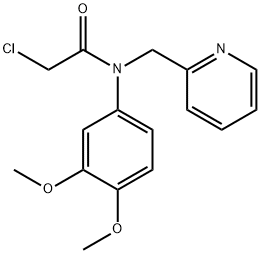 2-chloro-N-(3,4-dimethoxyphenyl)-N-((pyridin-2-yl)methyl)acetamide 结构式