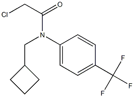 2-chloro-N-(cyclobutylmethyl)-N-(4-(trifluoromethyl)phenyl)acetamide 结构式