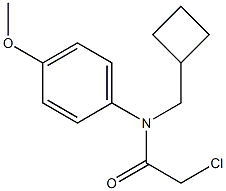 2-chloro-N-(cyclobutylmethyl)-N-(4-methoxyphenyl)acetamide 结构式