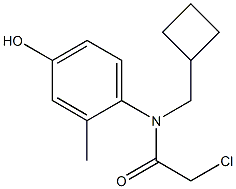 2-chloro-N-(cyclobutylmethyl)-N-(4-hydroxy-2-methylphenyl)acetamide 结构式