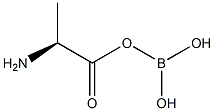 L-Alanine, monoanhydride with boric acid (H3BO3) (9CI) 结构式
