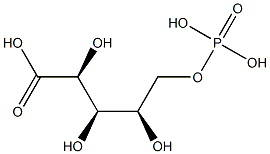 ANADOL 结构式