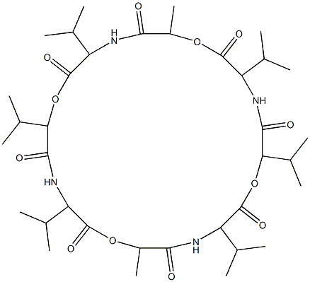 octa-valinomycin 结构式