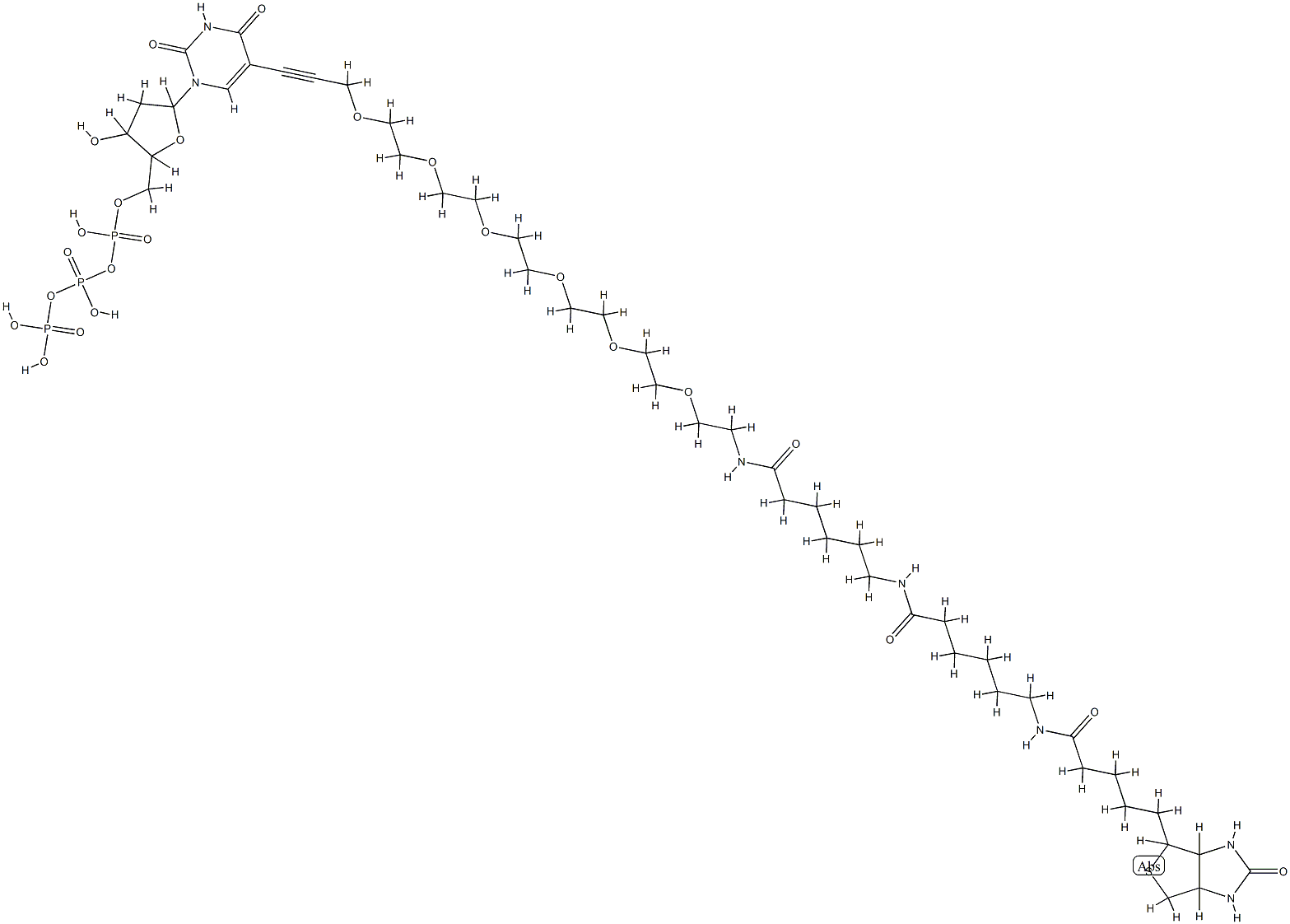 [[[5-[2,4-dioxo-5-[3-[2-[2-[2-[2-[2-[2-[6-[6-[5-(7-oxo-3-thia-6,8-diaz abicyclo[3.3.0]oct-2-yl)pentanoylamino]hexanoylamino]hexanoylamino]eth oxy]ethoxy]ethoxy]ethoxy]ethoxy]ethoxy]prop-1-ynyl]pyrimidin-1-yl]-3-h ydroxy-oxolan-2-yl]methoxy-hydroxy-phosphoryl]oxy-hydroxy-phosphoryl]o xyphosphonic acid 结构式