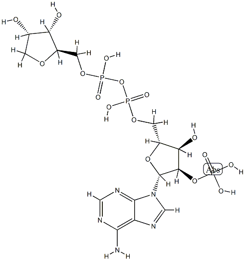 NEUROTROPHIN-4, HUMAN 结构式