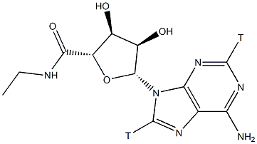 5'-(N-ETHYLCARBOXAMIDO)ADENOSINE-[ADENINE-2,8-3H] 结构式