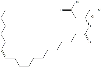 LINOLEOYL-L-CARNITINE (CHLORIDE) 结构式