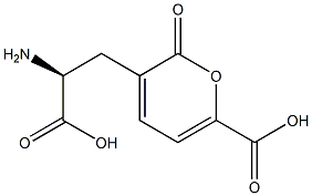 (αS)-α-Amino-6-carboxy-2-oxo-2H-pyran-3-propanoic acid 结构式