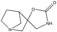 Spiro[1-azabicyclo[2.2.1]heptane-3,5-oxazolidin]-2-one (9CI) 结构式