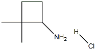 Cyclobutanamine, 2,2-dimethyl-, hydrochloride (1:1) 结构式