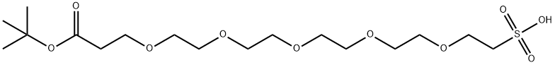 丁氧羰基-五聚乙二醇-磺酸 结构式