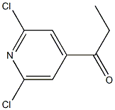 2,6-二氯-4-丙酰基吡啶 结构式