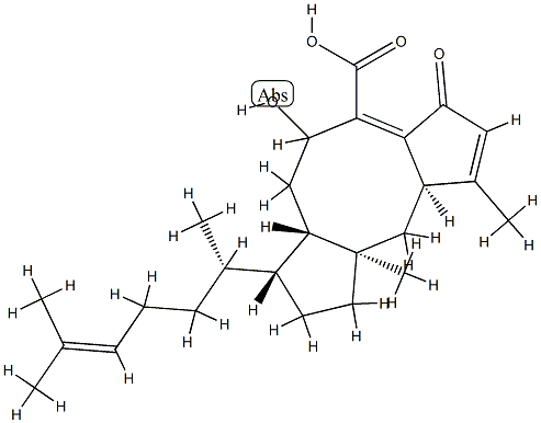 头孢菌酸 结构式