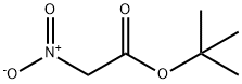 Acetic acid, 2-nitro-, 1,1-dimethylethyl ester 结构式