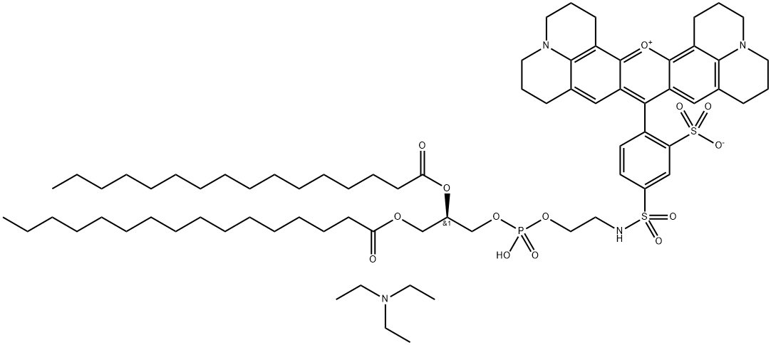荧光染料TEXAS RED-DHPE 结构式