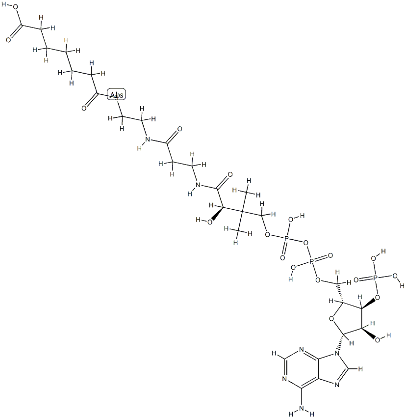 pimeloyl-coenzyme A 结构式