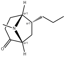 8-Azabicyclo[3.2.1]octan-2-one,8-methyl-6-propyl-,(1R,5R,6R)-rel-(9CI) 结构式